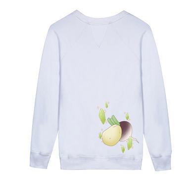 Garden Variety Witch Hoodie Sweater SD02654