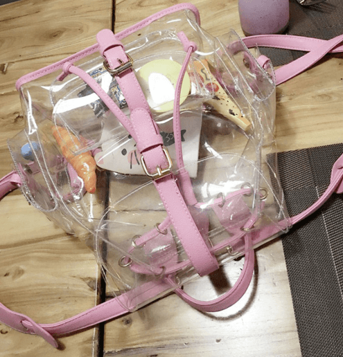 Kawaii pink/green transparent backpack SD00596