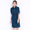 Korean Fashion Retro Demin Long-sleeved Elastic Waist Lapel Dress SD02264