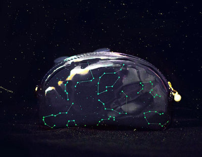 Glow In The Dark Constellation Stars Transparent Hand Bag Purse SD01010