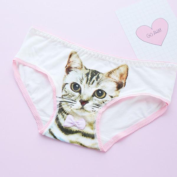 Japanese Harajuku Cute Kitty Bow Tie Undies SD02395