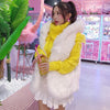 Korean Winter Warm Fur Vest Coat SD01567