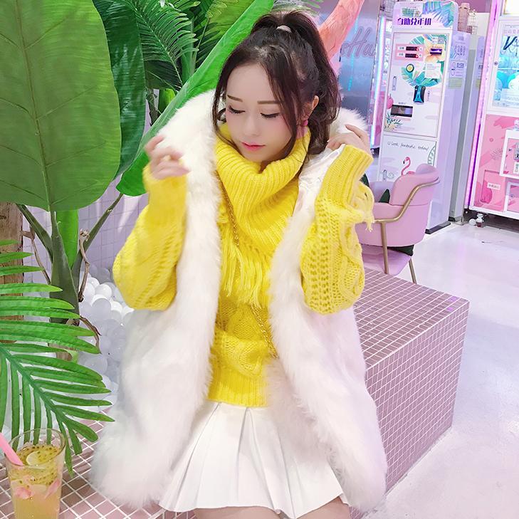 Korean Winter Warm Fur Vest Coat SD01567