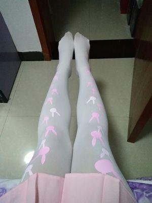 Overwatch D.VA DVA Bunny Tights Ver.1 SD01475