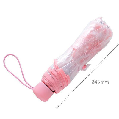 Harajuku Cherry Blossom Transparent Umbrella SD01699