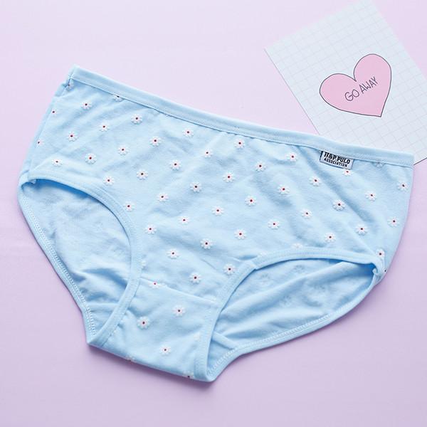 Japanese Harajuku Sweet Daisy Undies SD02394