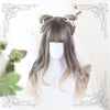 Japanese Harajuku Lolita Grey Silver Long Wig SD02302